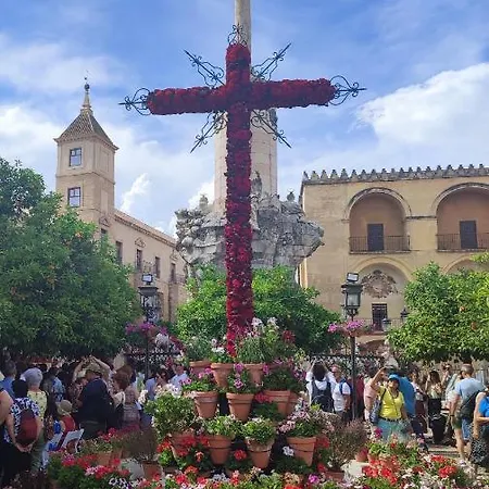 Suenos De Azahar: Palacio Viana With Wifi And Parking Apartment Cordoba