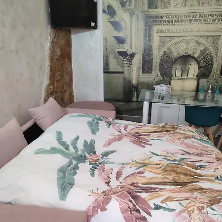 Apartment Suenos De Azahar: Palacio Viana With Wifi And Parking Cordoba